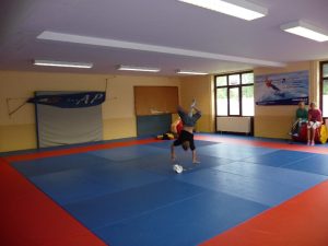 Lire la suite à propos de l’article 🎪 Activité extrascolaire : initiation au cirque – Flobecq