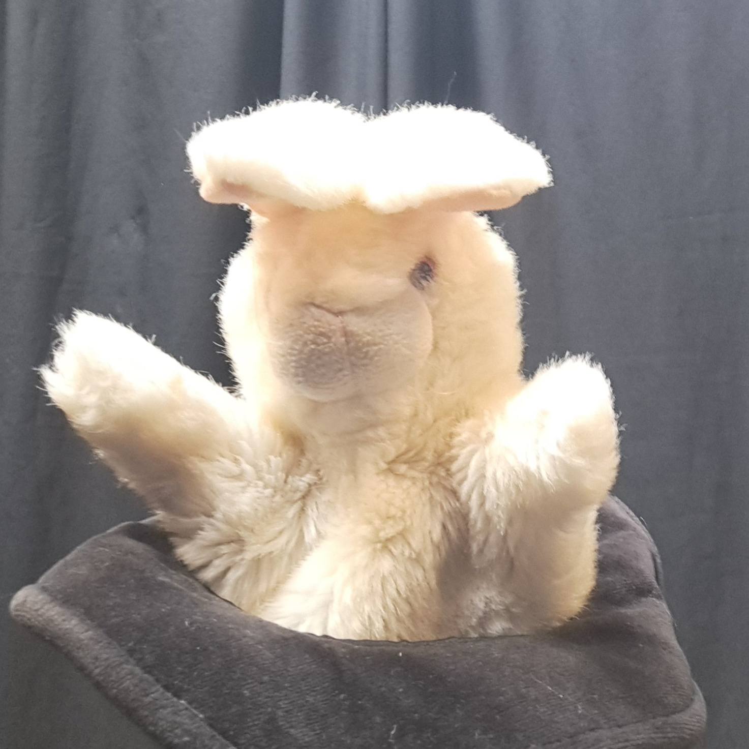 stage magie et cirque pour le jeune public